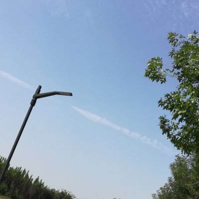 卡卡保皇bt版下载